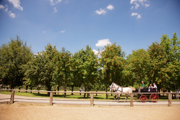 Naturhotel Etzdorfer Hof (Heideland)